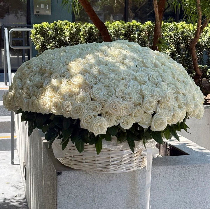 Luxury Red Rose Basket (300 or 400 Roses)